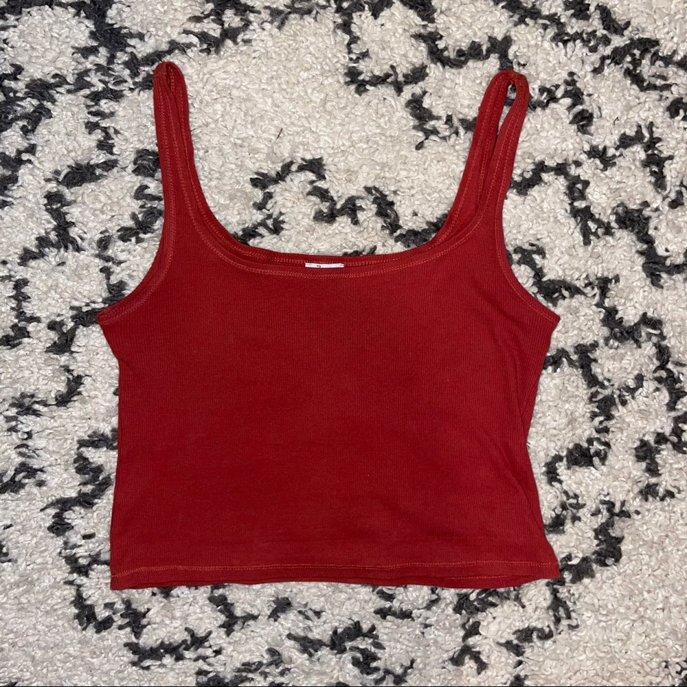 Zara Rust Cropped Tank